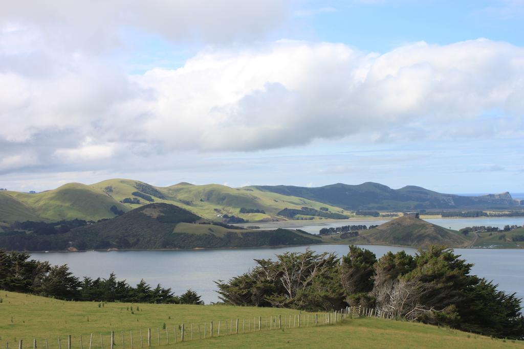 Ferienwohnung Arts Content Harbour View Macandrew Bay Exterior foto