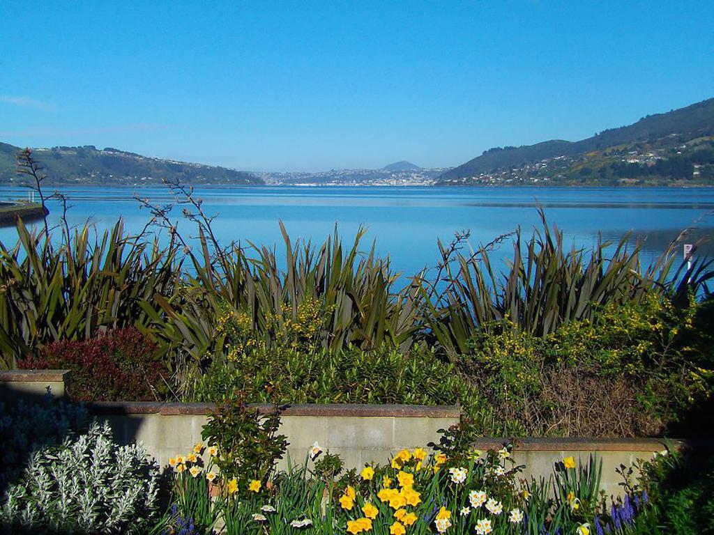 Ferienwohnung Arts Content Harbour View Macandrew Bay Exterior foto