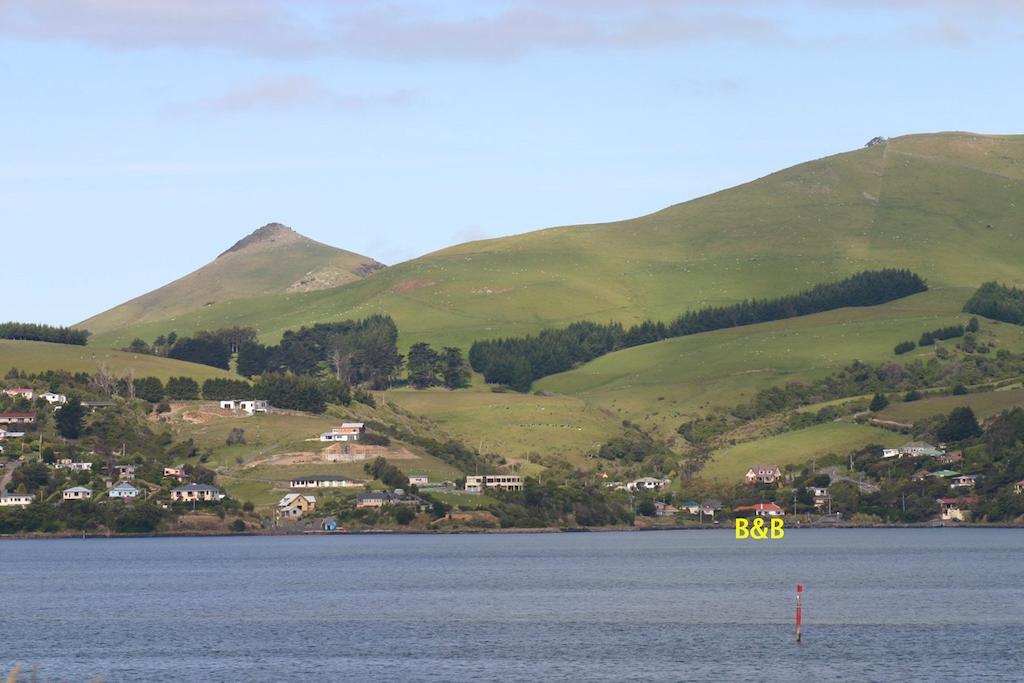 Ferienwohnung Arts Content Harbour View Macandrew Bay Exterior foto