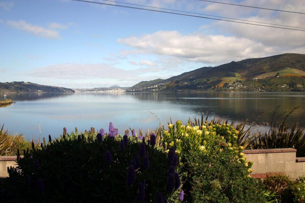 Ferienwohnung Arts Content Harbour View Macandrew Bay Exterior foto
