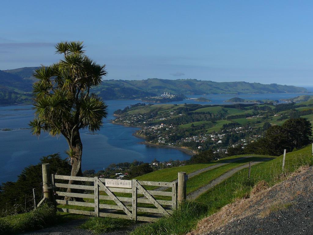 Ferienwohnung Arts Content Harbour View Macandrew Bay Exterior foto